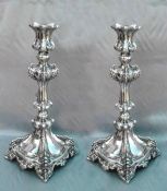 Silver Plated Polish